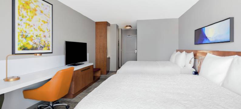 芝加哥麦考密克广场希尔顿花园酒店(Hilton Garden Inn Chicago McCormick Place)图片