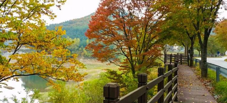荣州快乐旅馆(Yeongju Happy Pension)图片