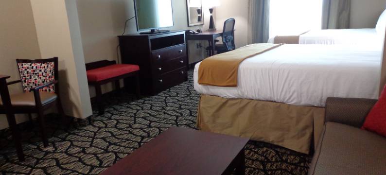 智选假日套房酒店拉伯克南(Holiday Inn Express & Suites LUBBOCK SOUTH by IHG)图片