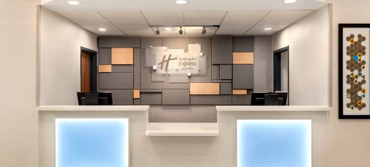 智选假日套房酒店彭布罗克派恩斯谢里登街(Holiday Inn Express & Suites Pembroke Pines-Sheridan ST)图片