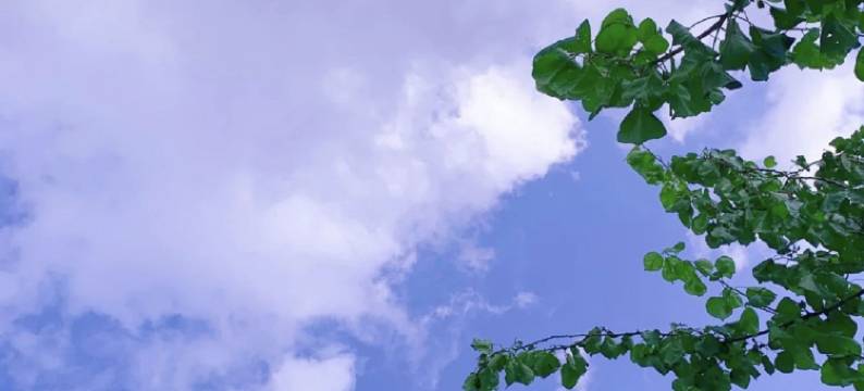 听雨阁民宿(宁德时代新能源店)图片