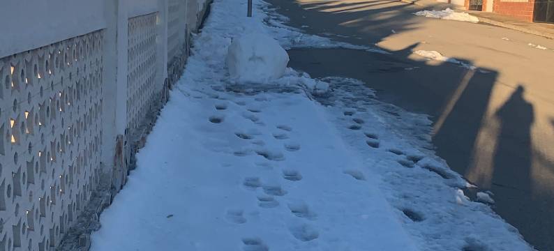 ********************************图片