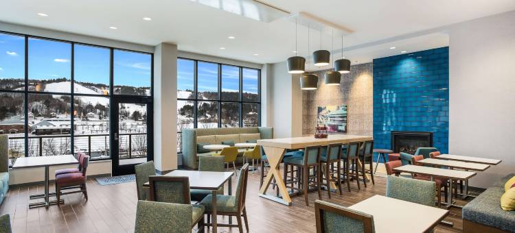 霍顿汉普顿套房酒店(Hampton Inn & Suites by Hilton Houghton)图片