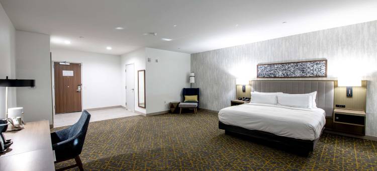 萨尔弗查尔斯湖希尔顿逸林酒店及度假村(Doubletree by Hilton Sulphur Lake Charles)图片