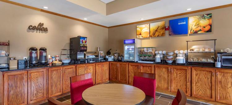 卡尔德本大学区舒适套房酒店(Comfort Inn & Suites Carbondale University Area)图片
