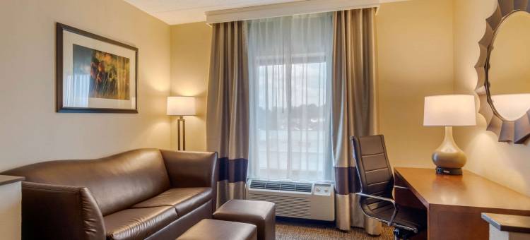 南方公园舒适套房酒店(Comfort Suites Southpark)图片