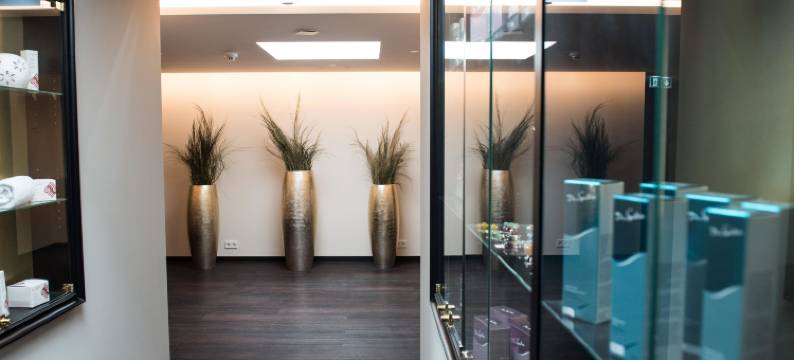 施莱翰帕克酒店(Parkhotel Schillerhain)图片