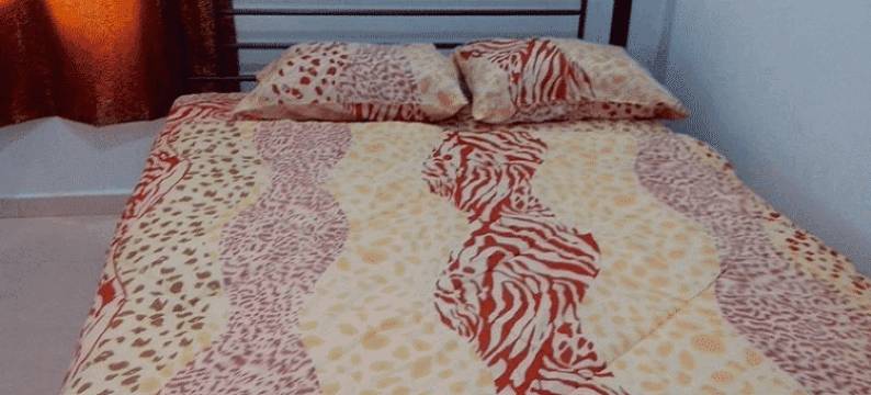 巴克里家庭旅馆(Bakri Inn Homestay)图片