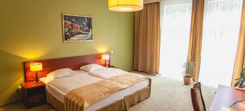 维斯艾维斯兰卡特酒店(Hotel Vis a Vis Łańcut)图片