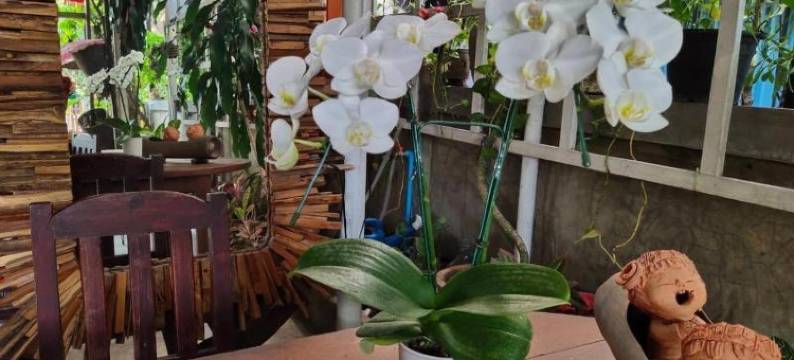 叔叔阿姨旅馆(Aunt & Uncle's House)图片