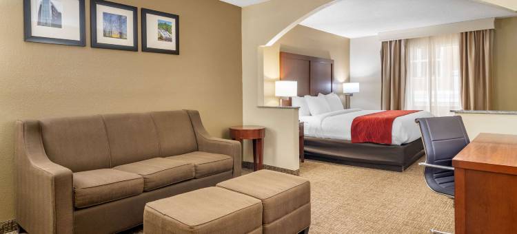 梅肯北I-75舒适套房酒店(Comfort Inn & Suites Macon North I-75)图片