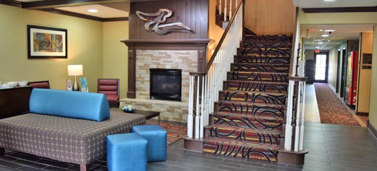 Spark by Hilton Destin图片