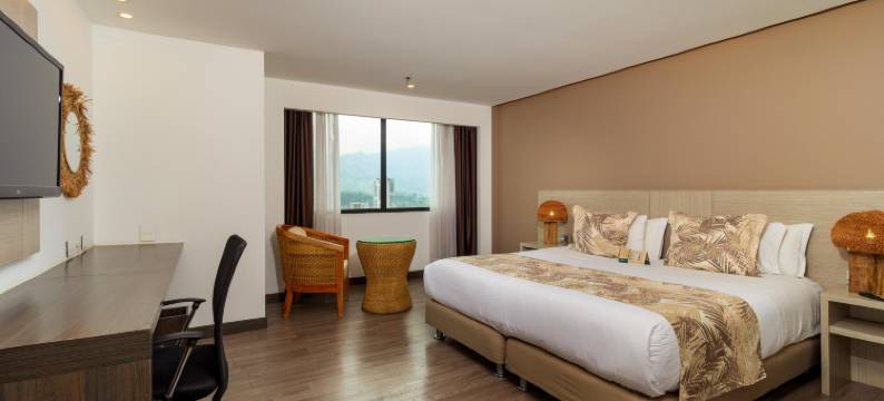 阿尔梅尼亚莫卡瓦广场酒店(Hotel Mocawa Plaza Armenia)图片