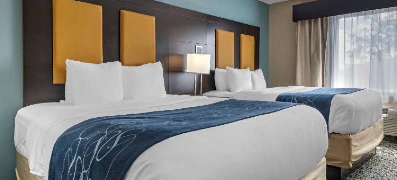 舒适套房酒店-罗德岱堡机场南游艇港(Comfort Suites Fort Lauderdale Airport South & Cruise Port)图片