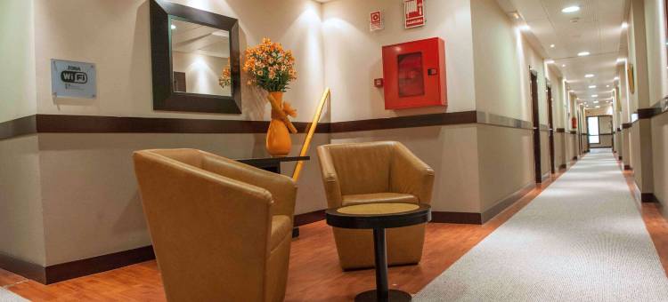 斯考特而恩波利公主酒店(Sercotel Princesa de Eboli)图片