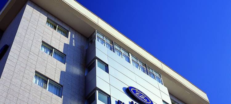 厄尔巴阿尔梅里亚商务会议酒店(Elba Almeria Business & Convention Hotel)图片