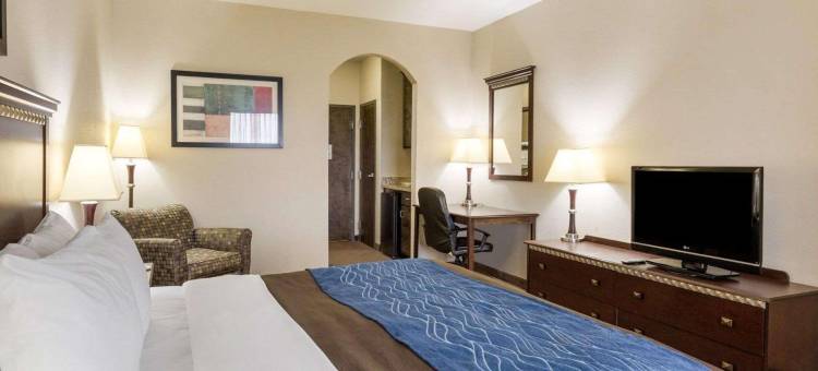 舒适套房酒店(Comfort Inn & Suites)图片