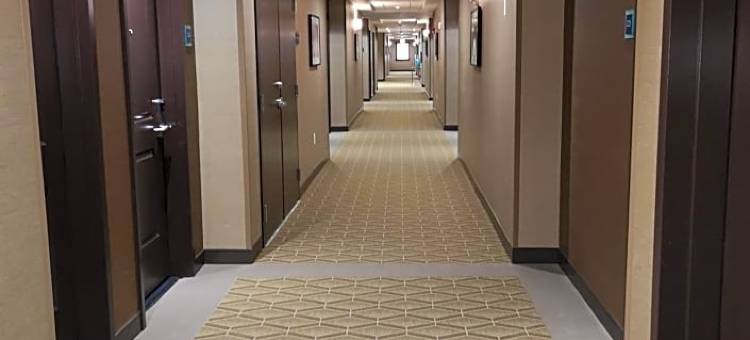 贝斯特韦斯特优质欣顿优质套房酒店(Best Western Plus Hinton Inn  Suites)图片