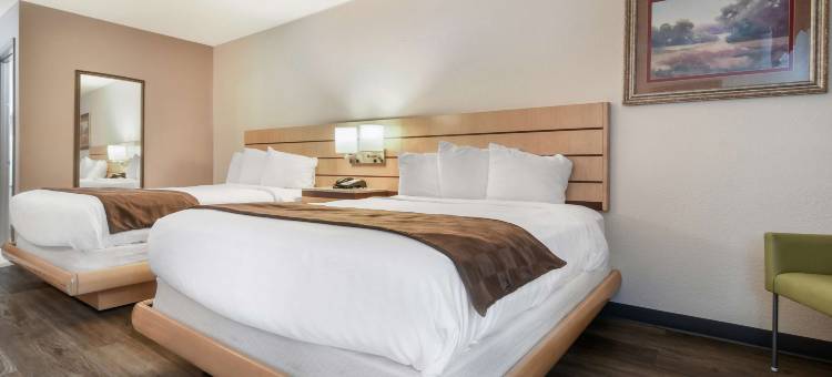 塔尔伯勒贝斯特韦斯特SureStay Plus酒店(SureStay Plus Hotel by Best Western Tarboro)图片