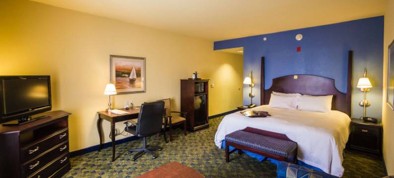 欢朋酒店加纳切兹套房(Hampton Inn & Suites Natchez)图片