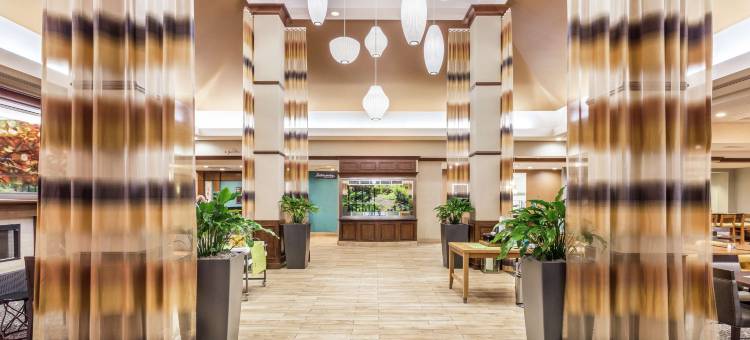 盖恩斯维尔希尔顿花园酒店(Hilton Garden Inn Gainesville)图片