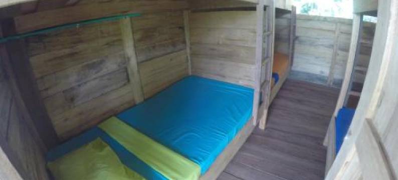 The Pelican House Hostel图片