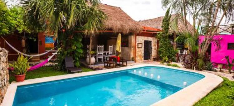 Casa Aluxes Hotel图片