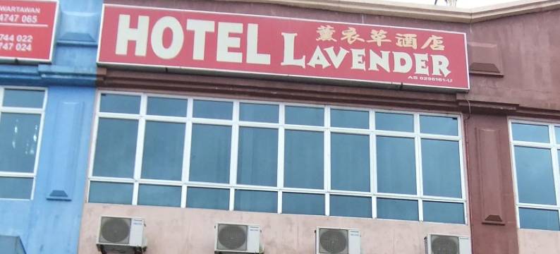 熏衣草酒店(Hotel Lavender)图片