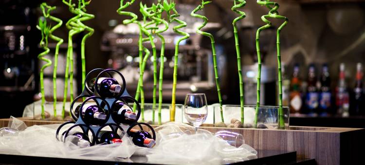 别尔斯科-比亚瓦 库布斯酒店(Qubus Hotel Bielsko-Biała)图片