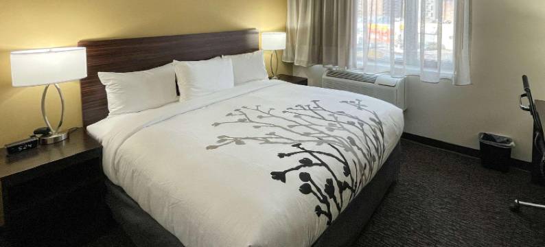 布朗克斯舒眠酒店-贝尔蒙特(Sleep Inn Bronx - Belmont)图片