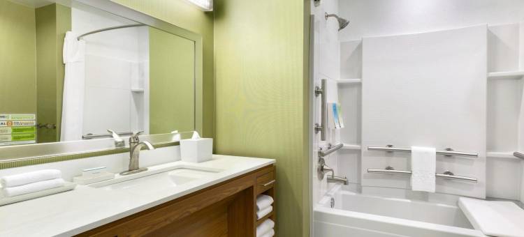希尔顿惠庭酒店-休士顿帕萨迪纳(Home2 Suites by Hilton Houston  Pasadena)图片