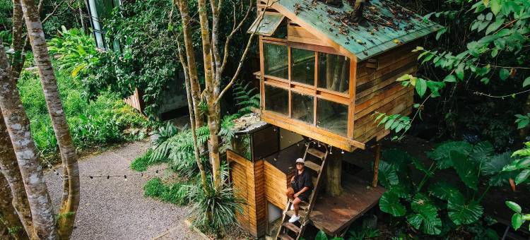 班奈蒙树屋(Bannaimong Treehouse)图片
