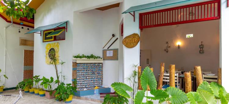 马尔代夫阳光海滩美梦客栈(Dream Inn at Thulusdhoo)图片