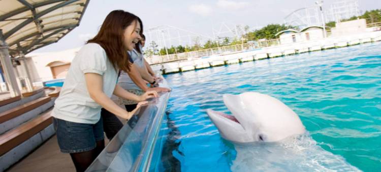 MYSTAYS 横滨酒店(HOTEL MYSTAYS Yokohama)图片