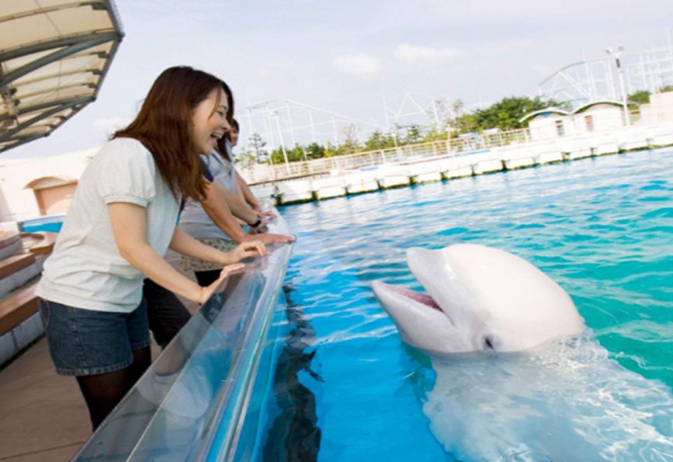 HOTEL MYSTAYS Yokohama Hotel Overview