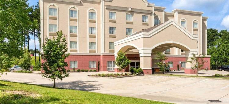 曼德维尔卡温顿舒适套房酒店(Comfort Suites Mandeville - Covington)图片