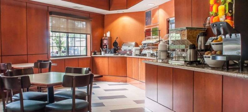 舒适酒店及套房-汉堡-南布法罗(Comfort Inn & Suites Hamburg - Buffalo South)图片