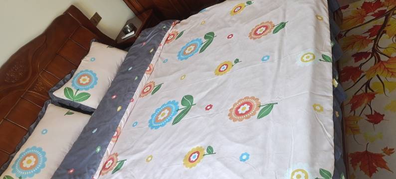 家羊民宿(成子湖路1号分店)图片