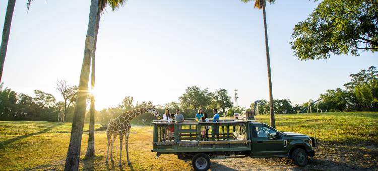 坦帕I-75布鲁斯B唐斯智选假日套房酒店(Holiday Inn Express & Suites Tampa-I-75 @ Bruce B. Downs)图片