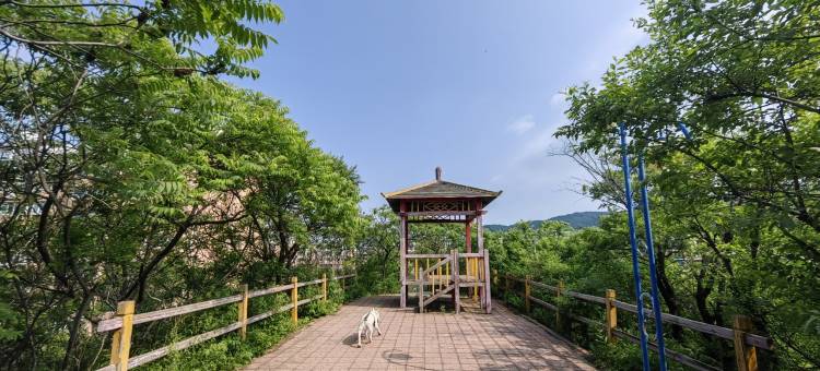 房东阿姨付锋公寓(程家街分店)图片