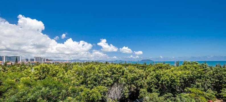 阁下舍下公寓(三亚湾路4号分店)图片