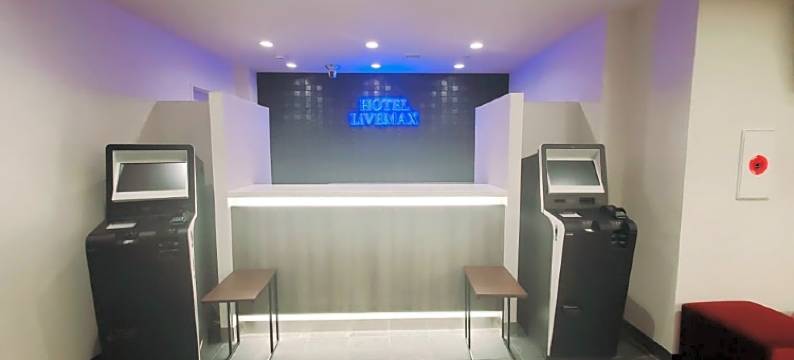 利夫马克斯酒店-东京蒲田站前店(HOTEL LiVEMAX Kamata Ekimae)图片