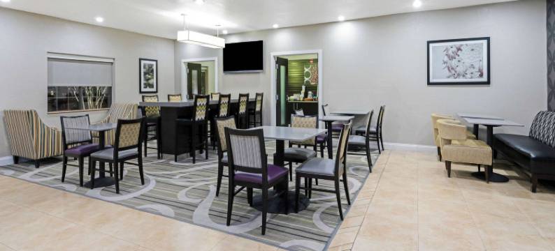 艾达拉昆塔温德姆套房酒店(La Quinta Inn & Suites by Wyndham Ada)图片