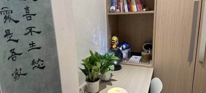 雪鸮小白公寓(培正路分店)图片