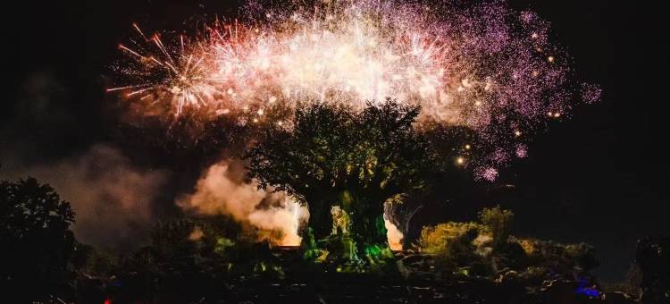 跑火兔叽头民宿(清江路分店)图片