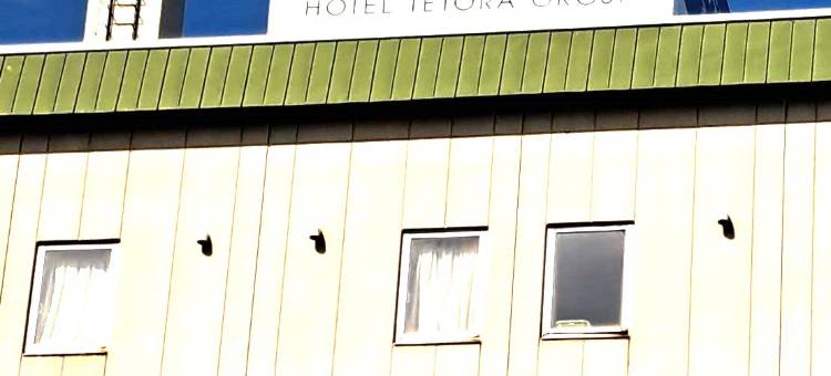 东室兰 Tetora 酒店(Tetora Higashimuroran)图片