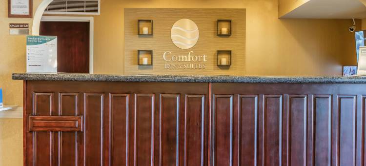 贾斯珀78号公路西舒适套房酒店(Comfort Inn & Suites Jasper Hwy 78 West)图片