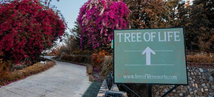 生命之树度假村, 德拉顿山脚(Tree of Life Resort Dehradun Foothills)图片