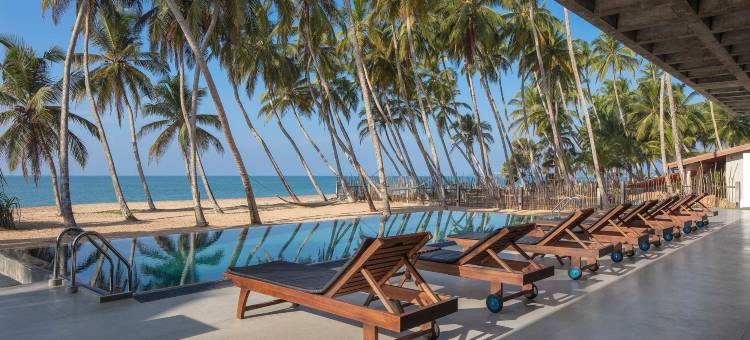 瑟伦迪维度假别墅(Serendivi Resort Villa)图片