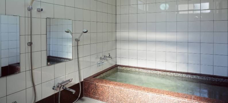 酒店 桐盛馆(Hotel Toseikan)图片